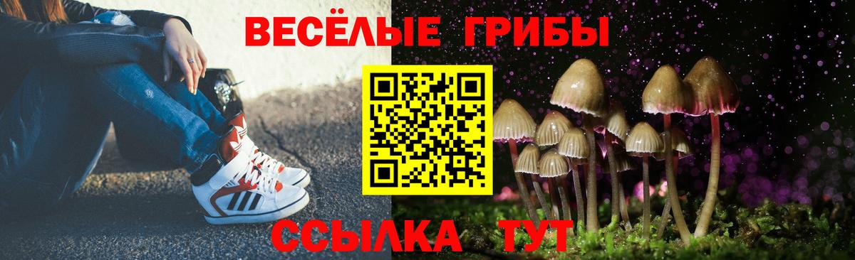 Псилоцибиновые грибы MAGIC MUSHROOMS  Вход с VPN  Люберцы 